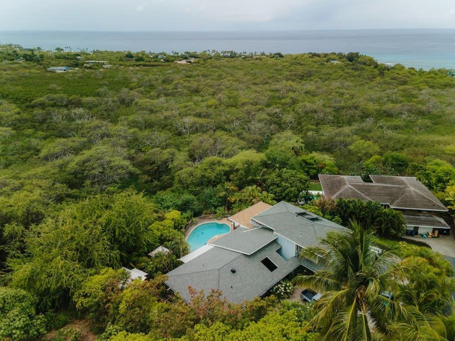 The Pohaku Studio At The Koi House Каилуа-Кона Экстерьер фото